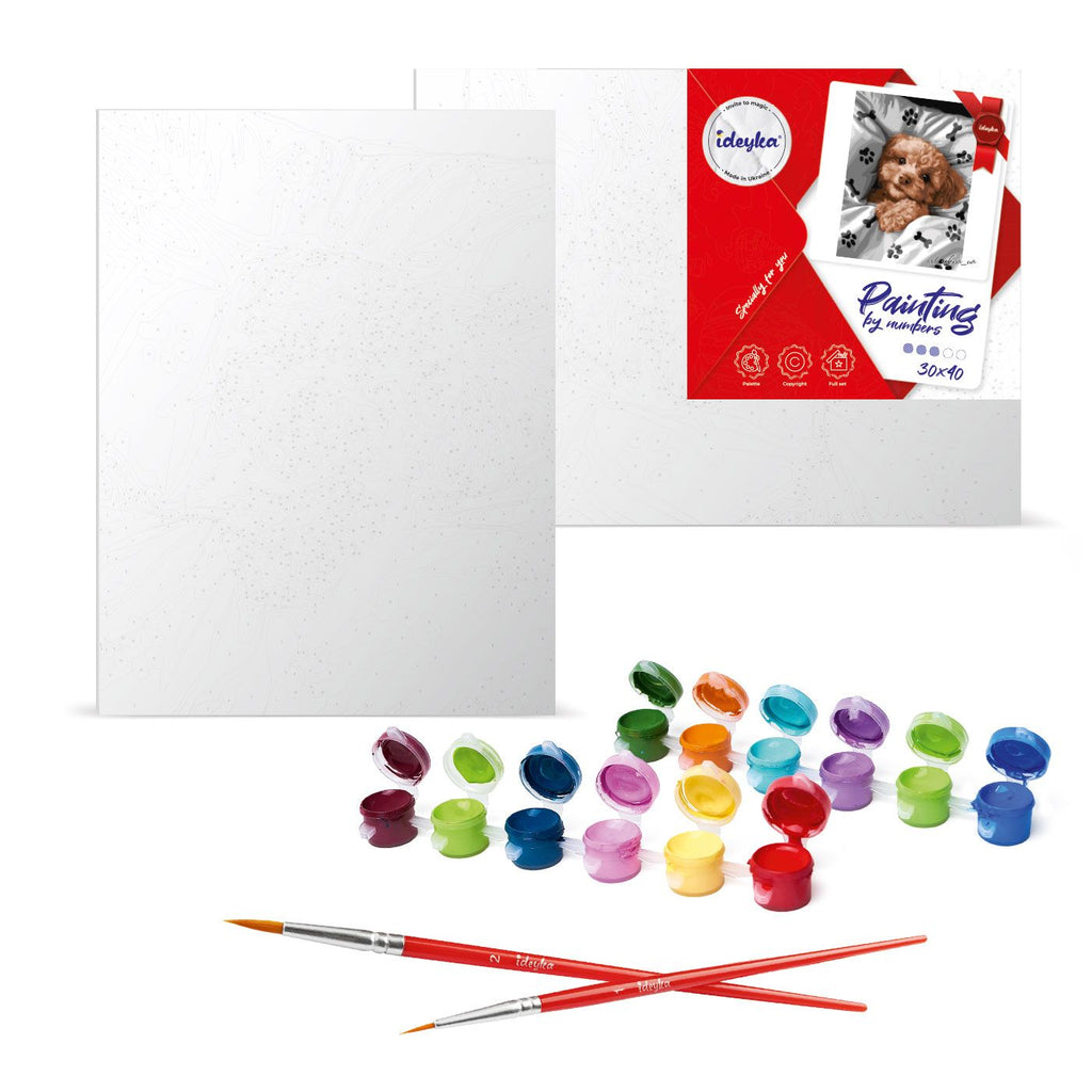 Painting by Numbers kit Star kitten KHO6646